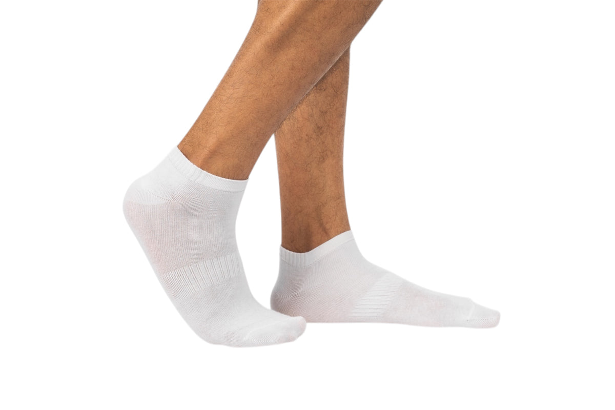 #ffffff / #ffffff / #ffffff